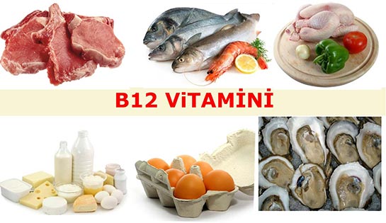 B12 Vitamini eren Besinler