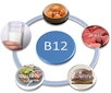 Vitamin B12 Normal Değerleri Kaçtır?