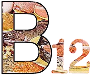 B12 Vitamini Nedir?