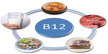 Vitamin B12 Normal Deerleri
